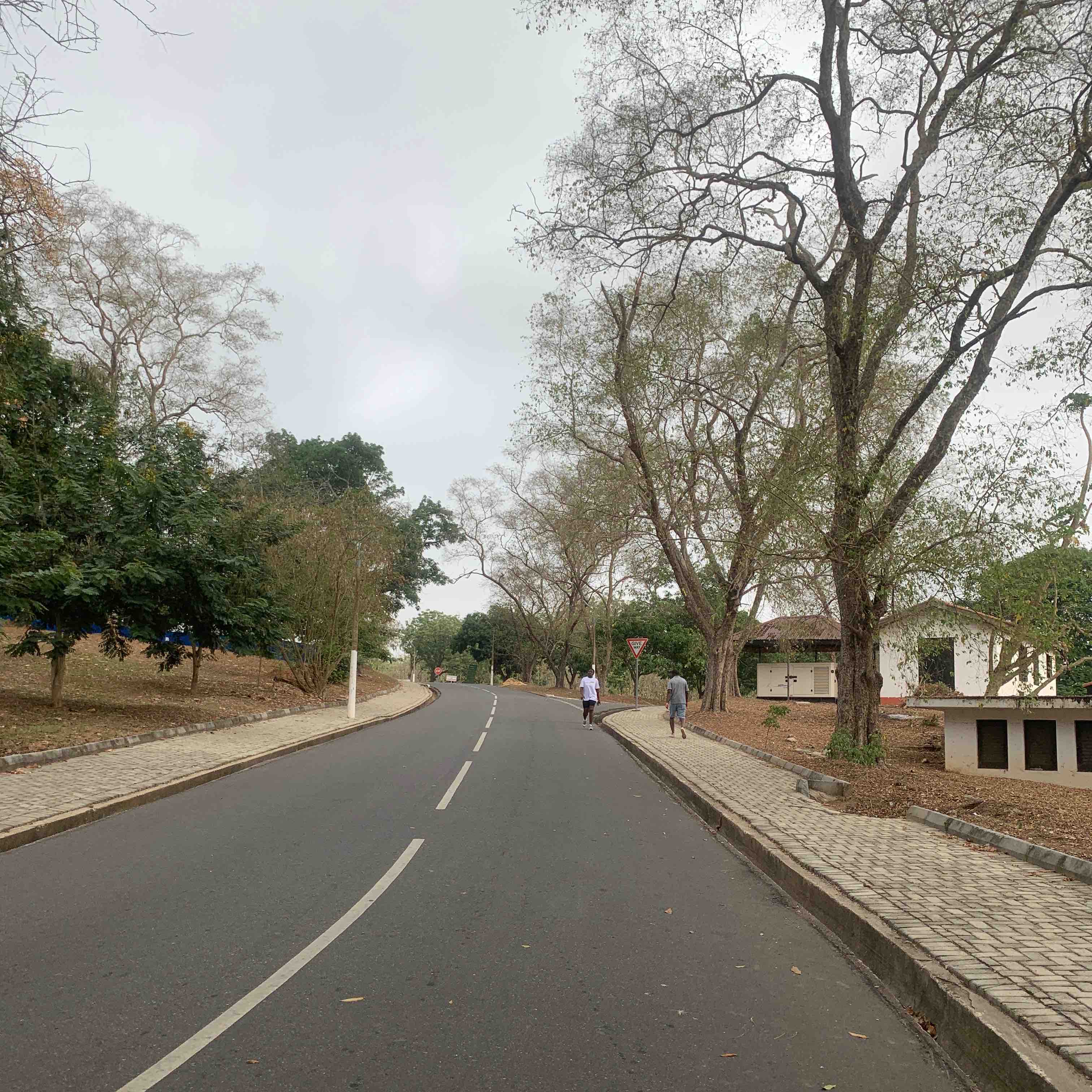 GH City Walkers 🏃🏾 logo