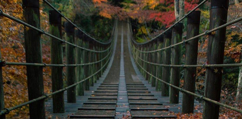 Toronto Canada Co Pilot background