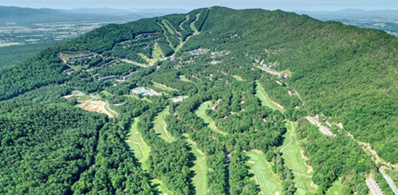 Resorts Companies Wellness banner