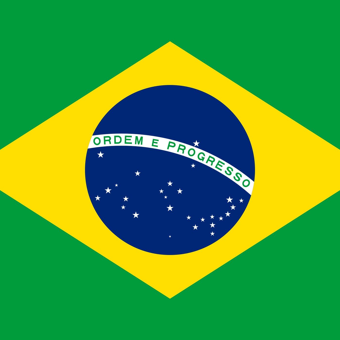 🇧🇷TIME  BRAZIL 🇧🇷 logo