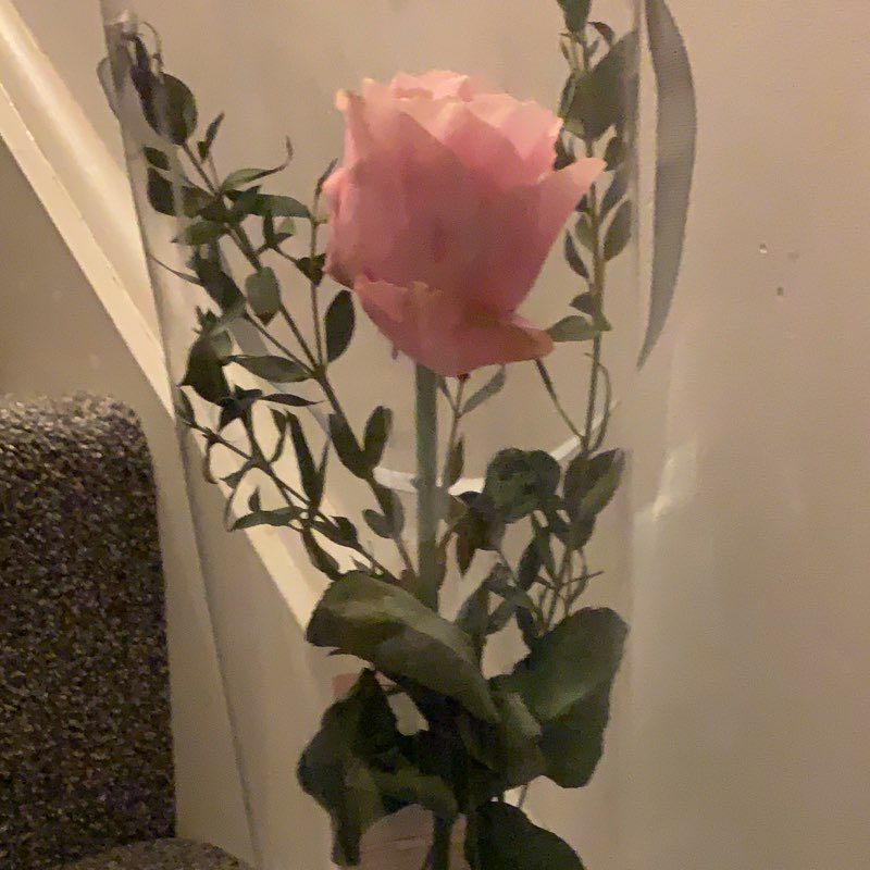 mks_ash 🇲🇦🇬🇧