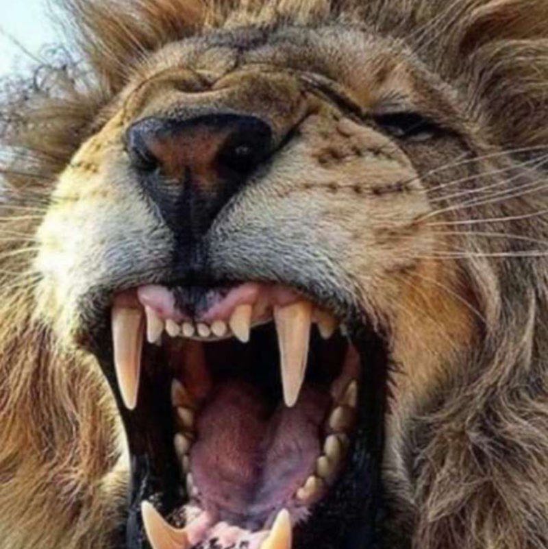 Eddine💪💪💪 profile