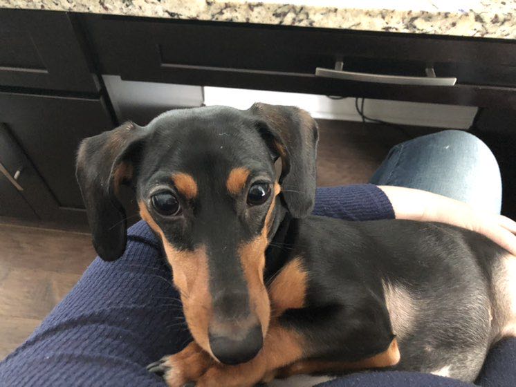 🏖🏖 Hawaii Here I Come 🏖🏖