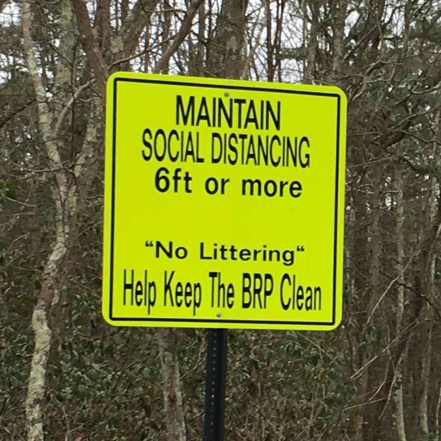 ... the walking, live ... logo