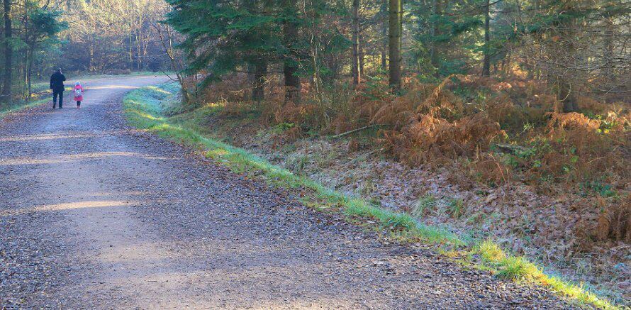 Talk the walk banner