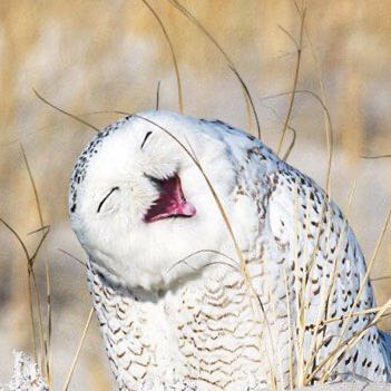 Лариса Екатеринбург