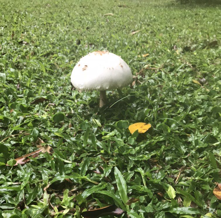 12-Cathy-天生好動