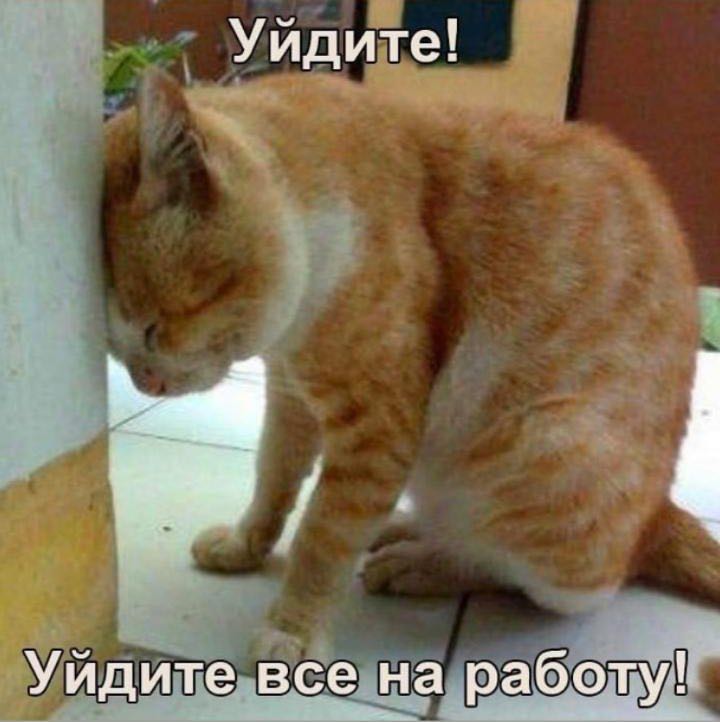 надоел карантин