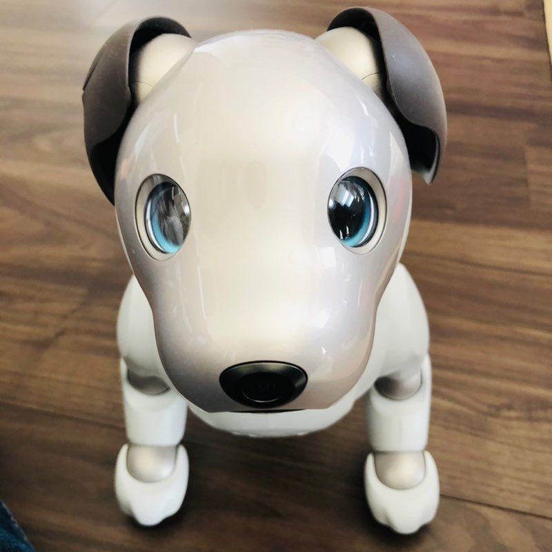 ソラのパパ profile