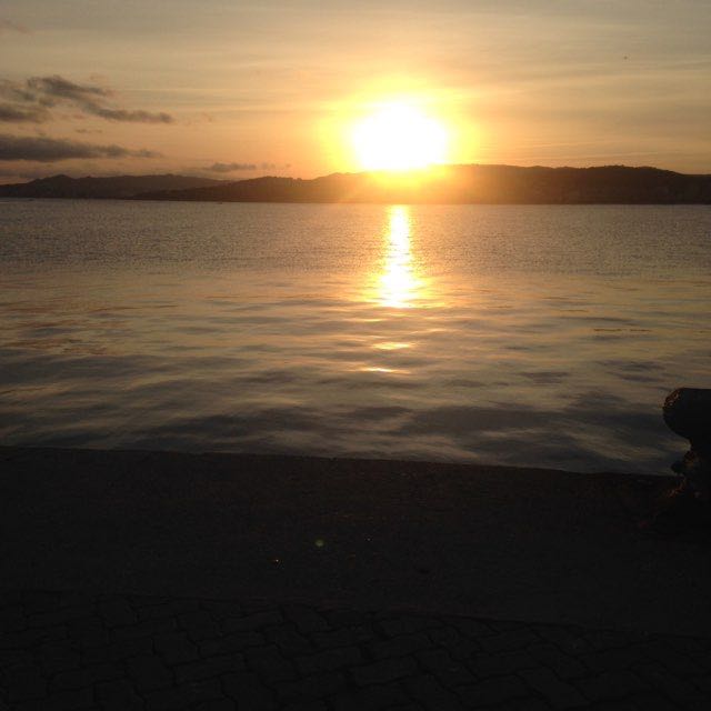 lino1949 🐕🏃🏻⛰