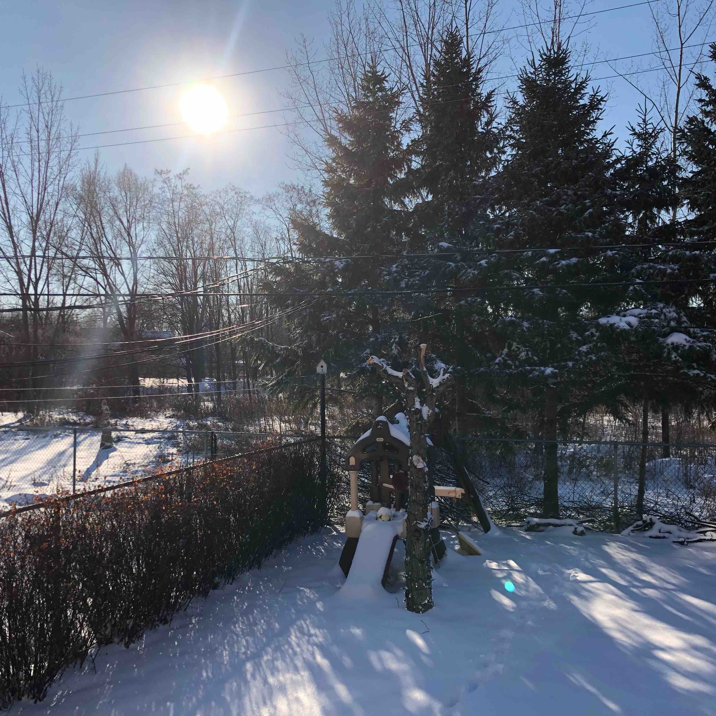 ile patron walkers logo