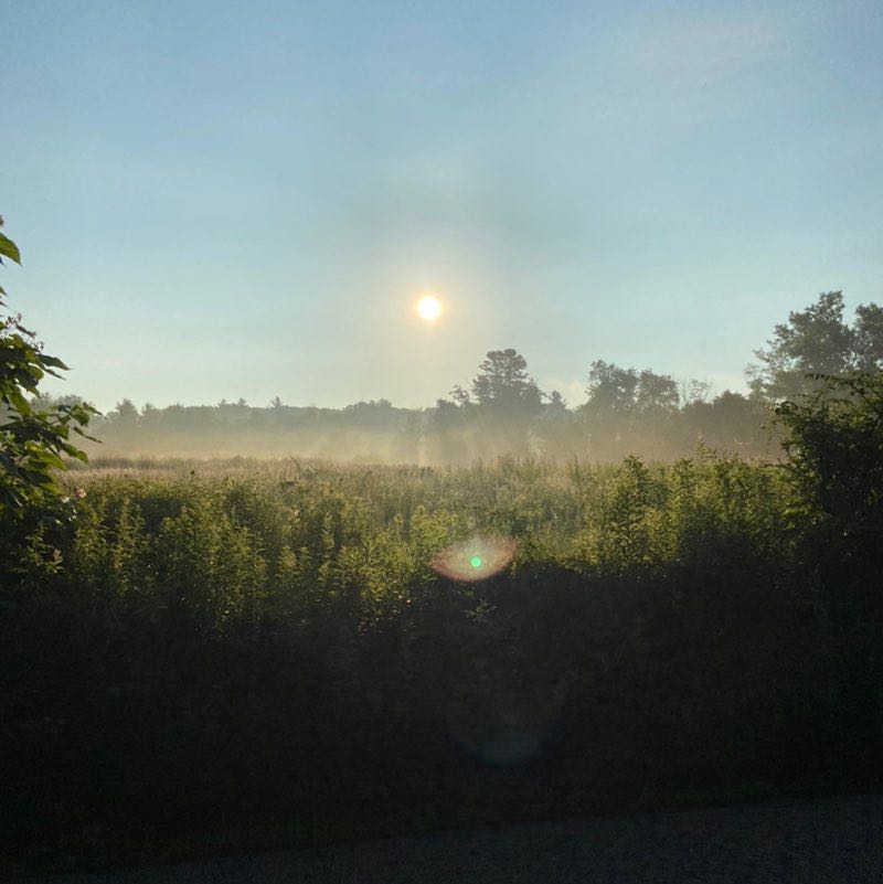 Vijaya yelchuru (Realtor) profile