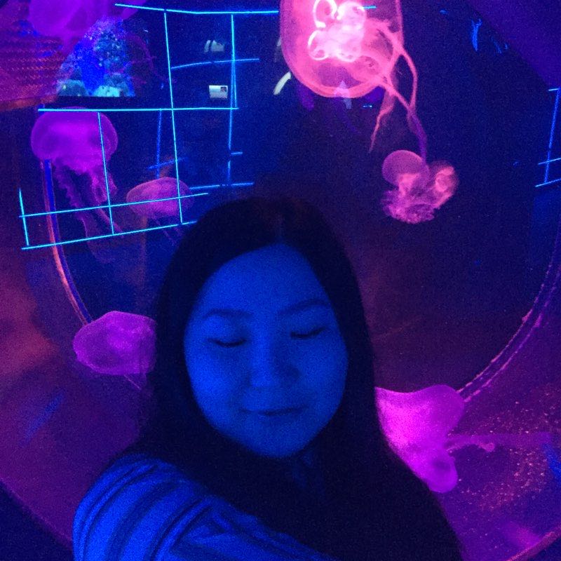 Эржена Соломина