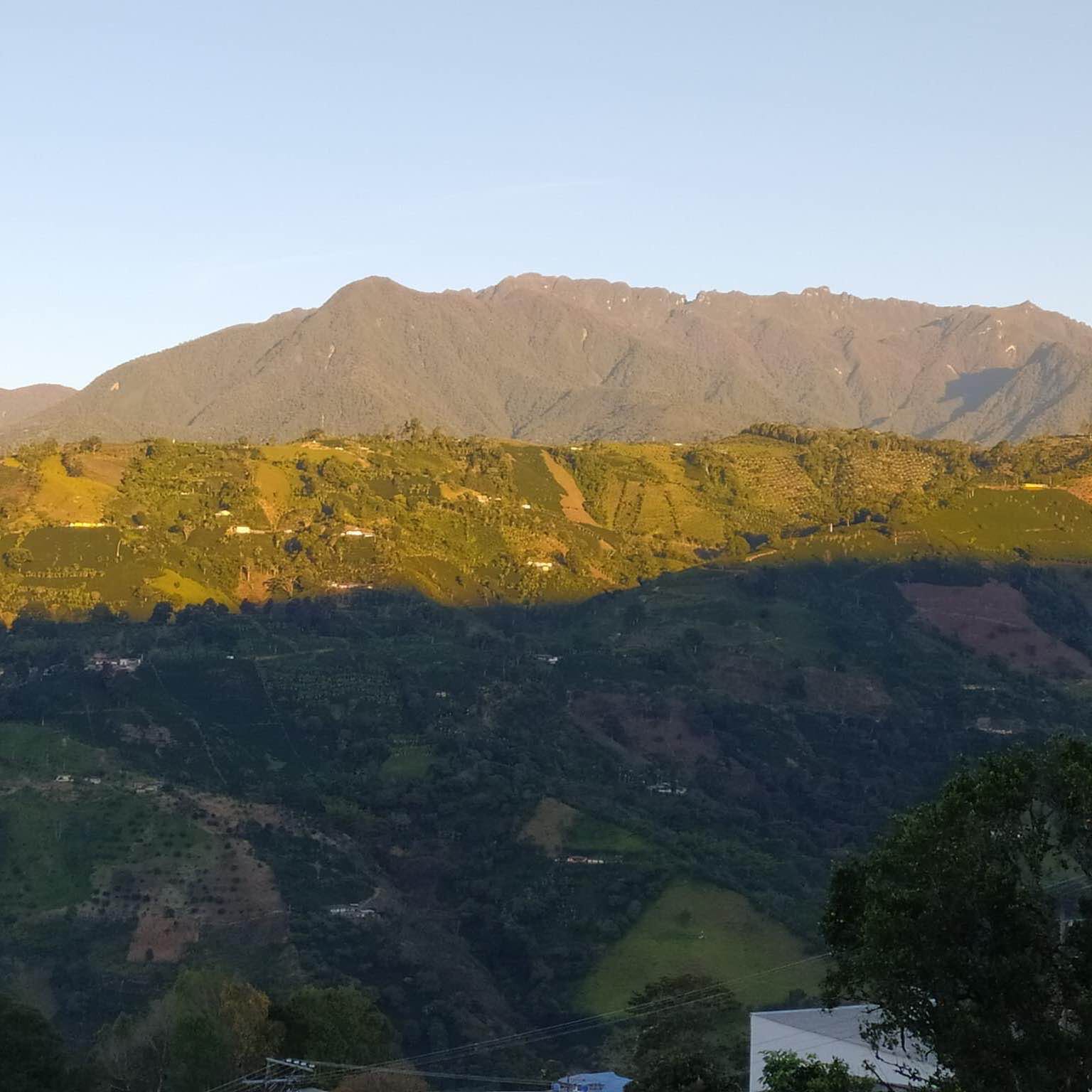 PASOS PASOS PARA ESTAR EN FORMA logo