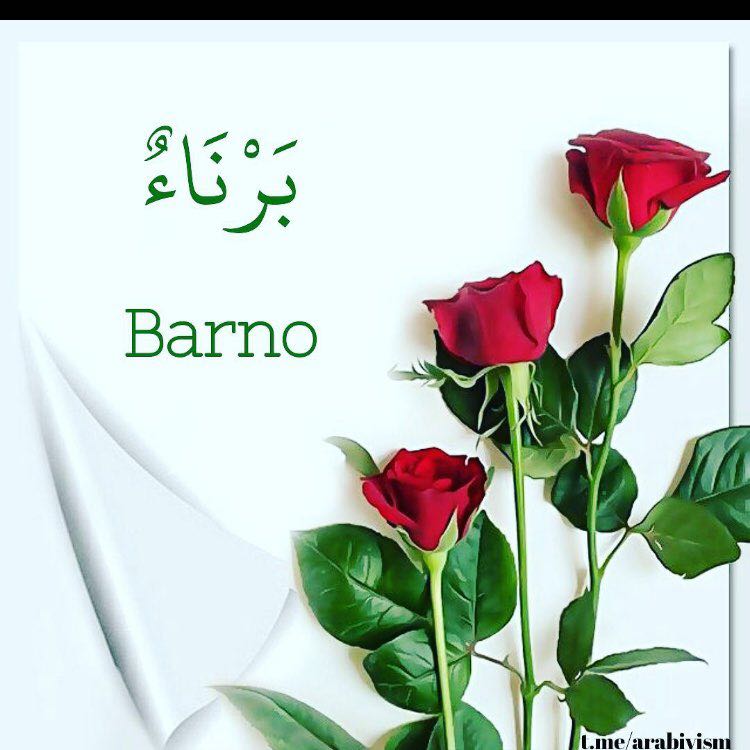 beebarno1994🇺🇿🇺🇸