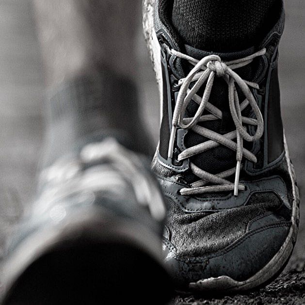 Collin County Pacers logo