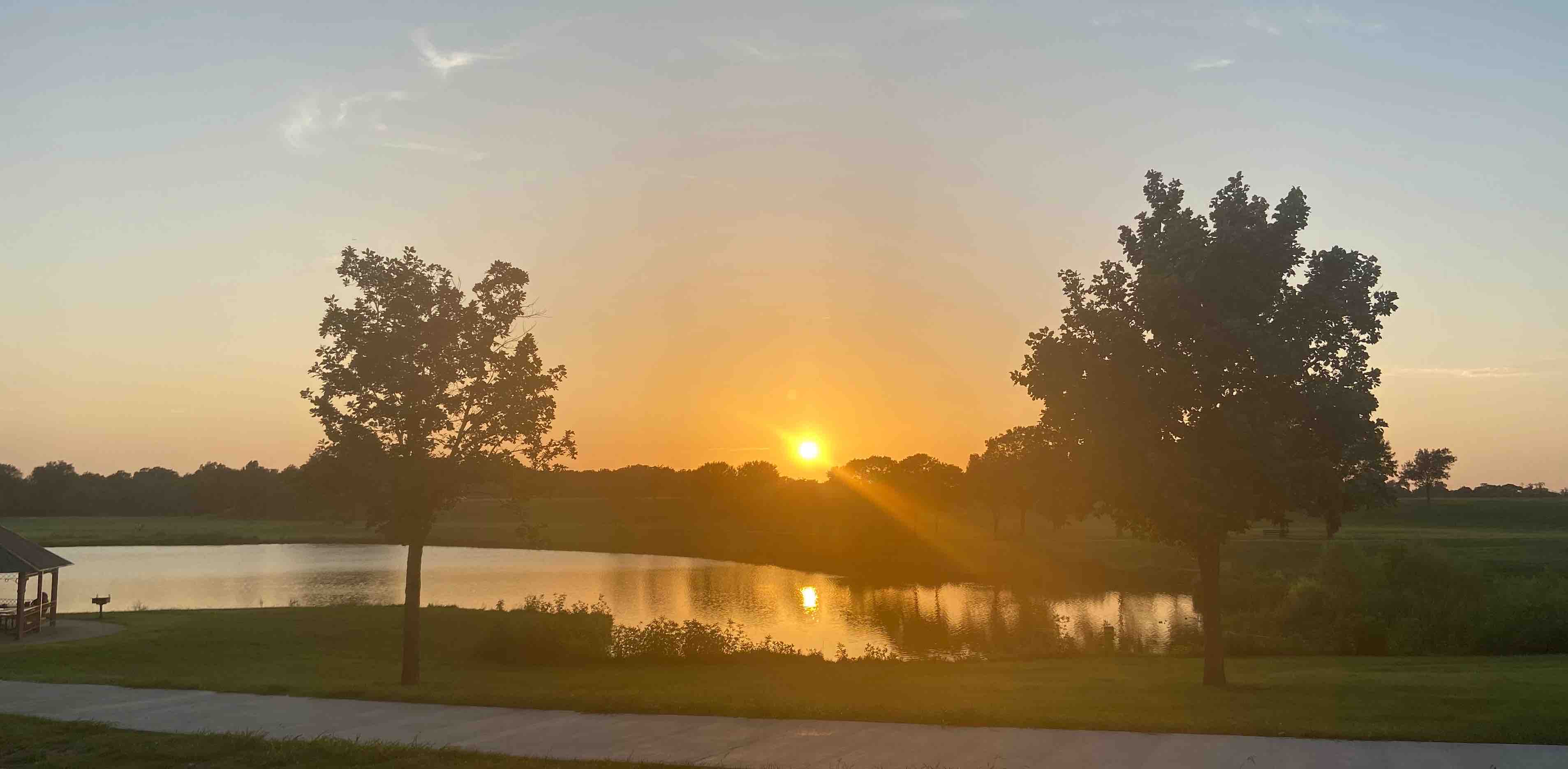 Collin County Pacers banner