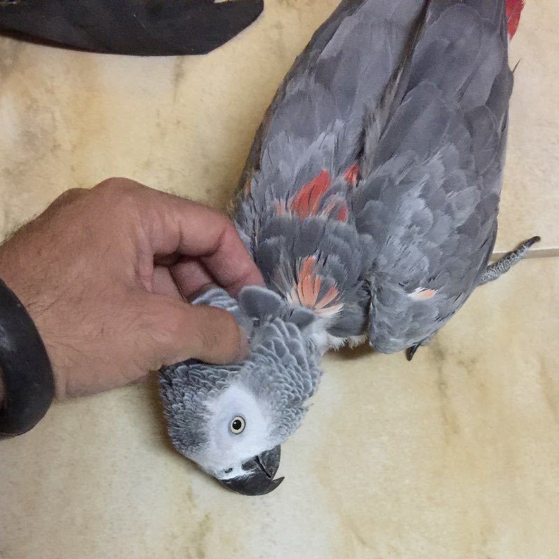 NASSRAWY 💛💙 profile