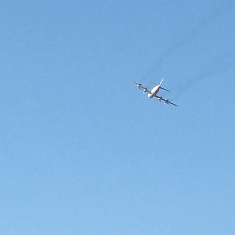 もぐあいらんぼ