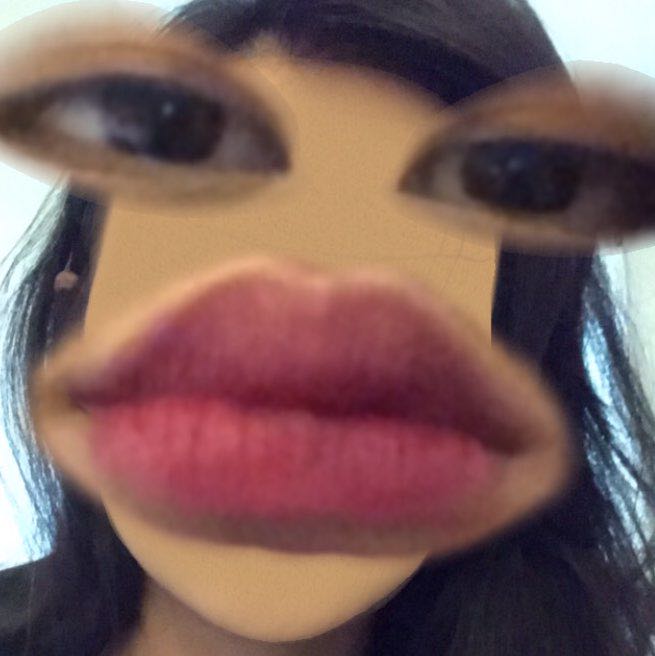 hamsterngasomo