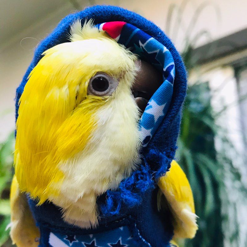 Ruby 🐥😋🏃‍♀️🧿🎧