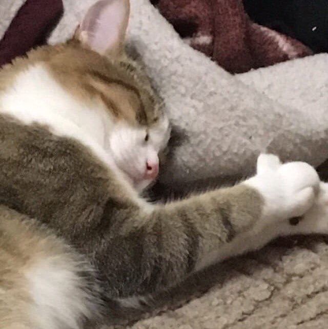 Гималов Данил