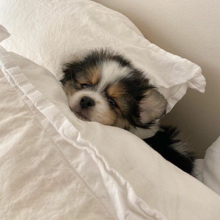 Виктория Штурмина ИВТ-124