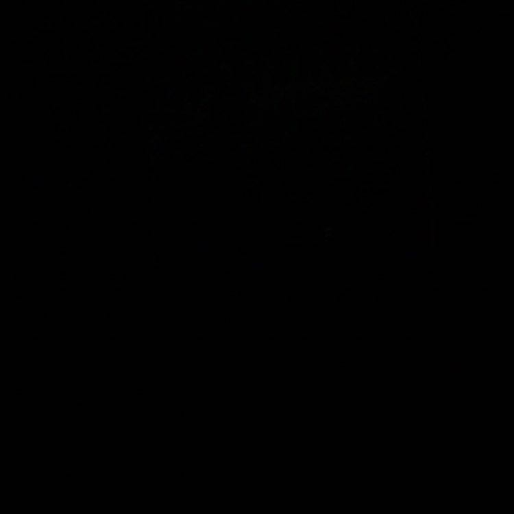 Аглиуллина Лиля М-421/1