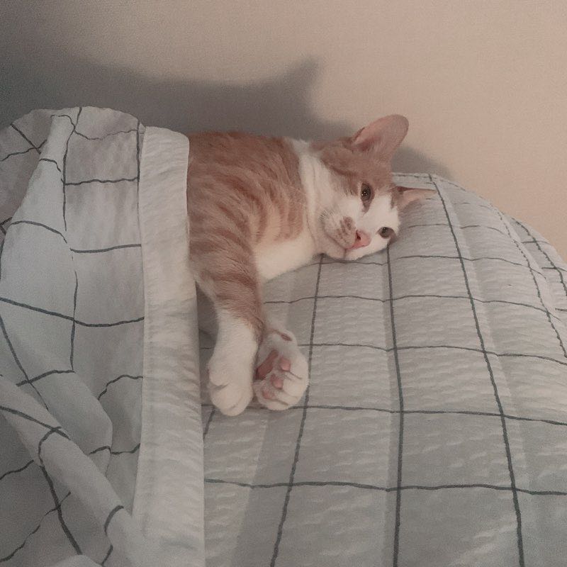 : )
