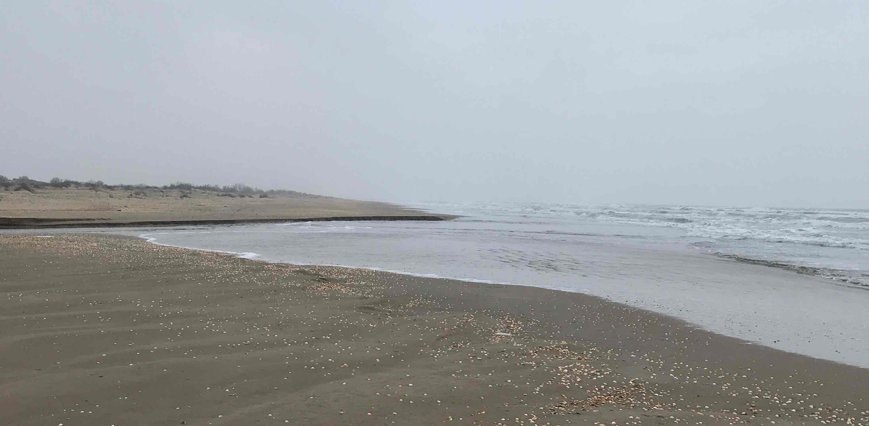 бег это сунна banner