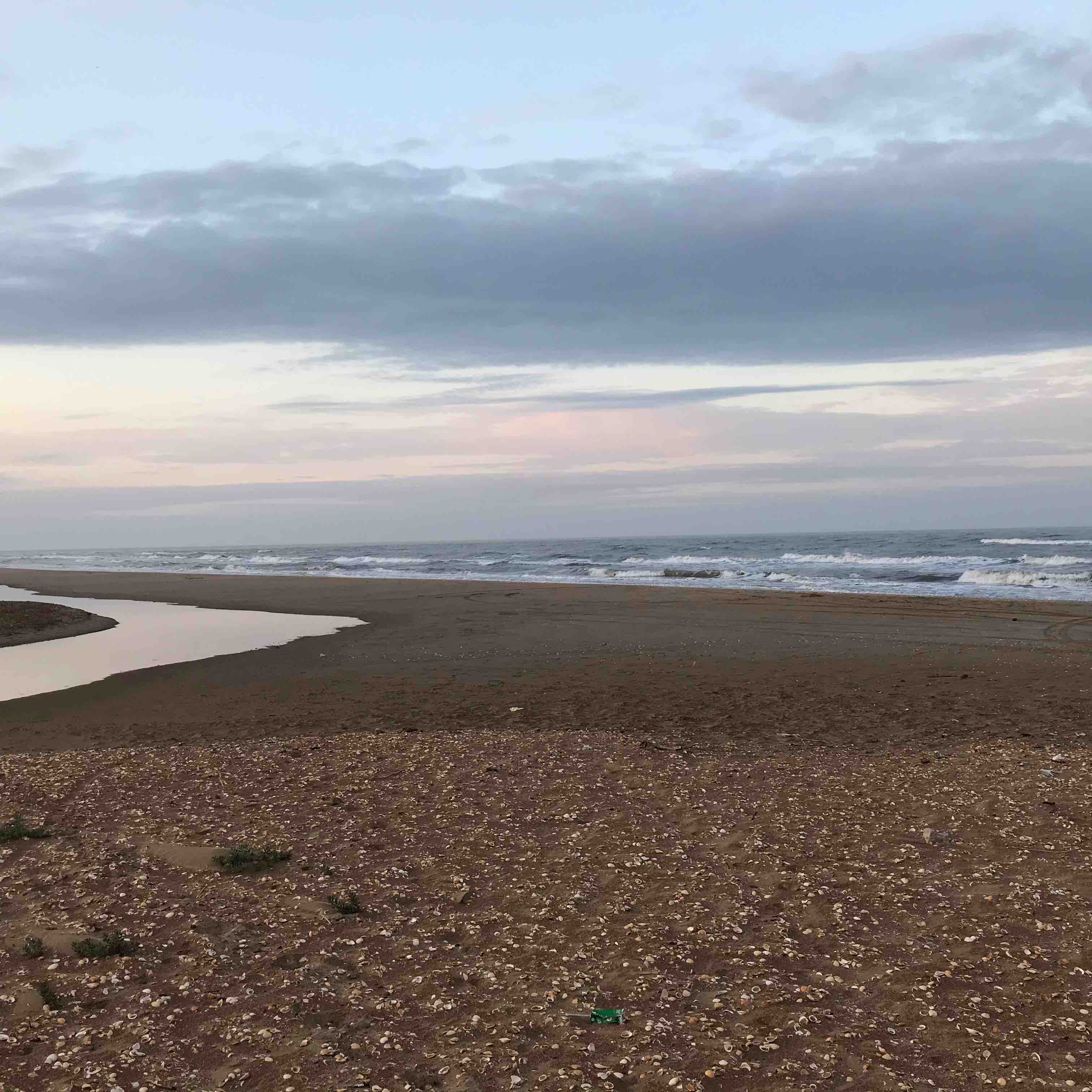 бег это сунна logo