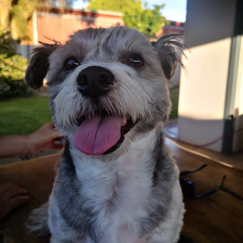 🦘wanderingturtle 🐢