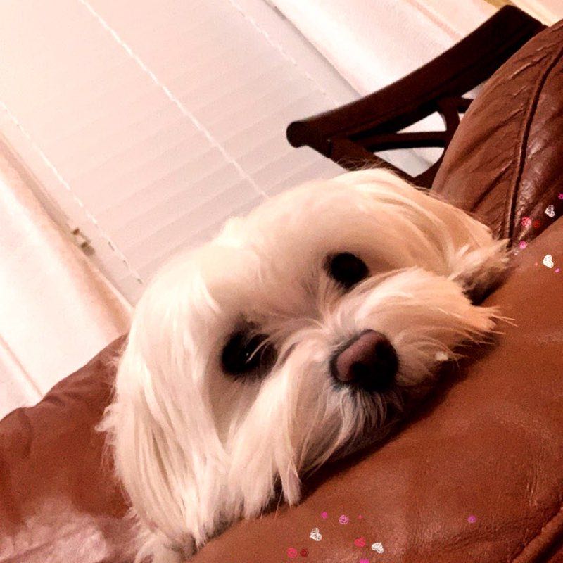 pink_cabading profile