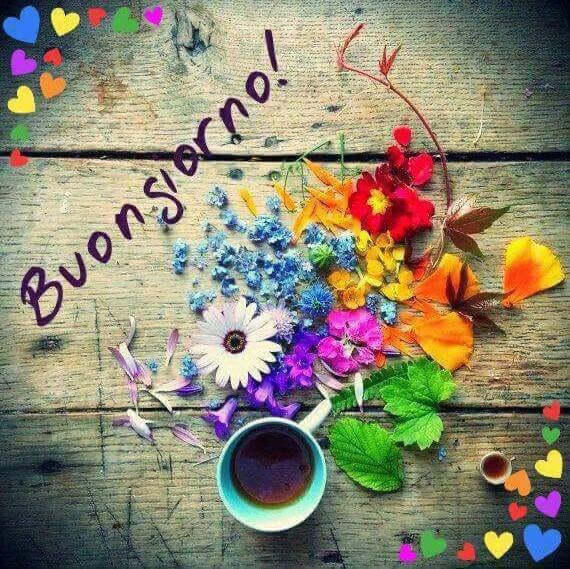 Paola 🧜🏻‍♀️ パオラ