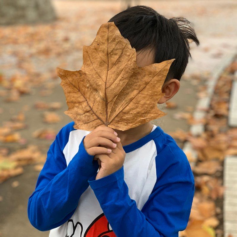 けんたろしょたろのちち