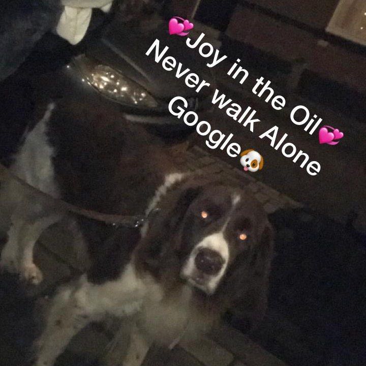 💞JoyintheOil💞 profile