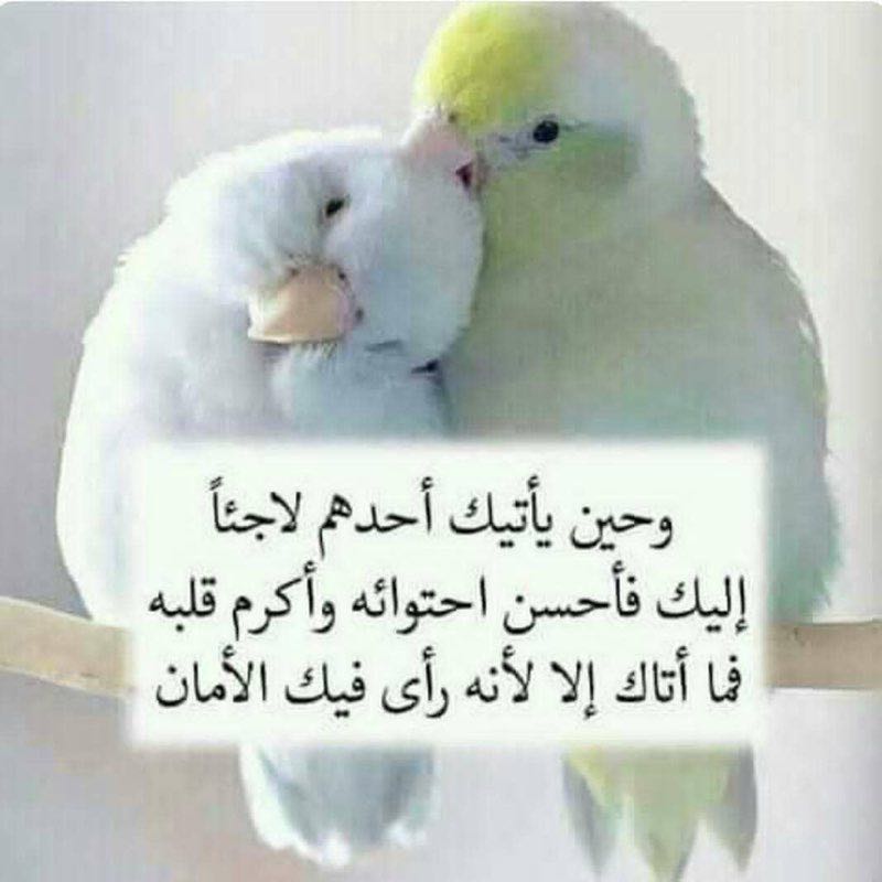 Badryah jassam❤️💋 profile