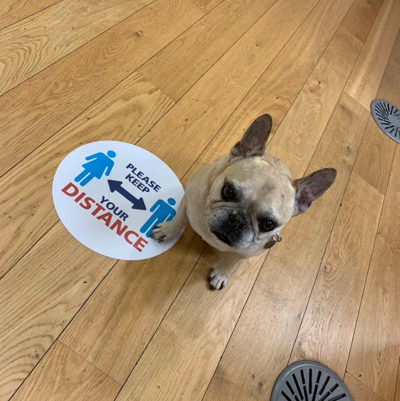 Antonio Marin-Blazquez