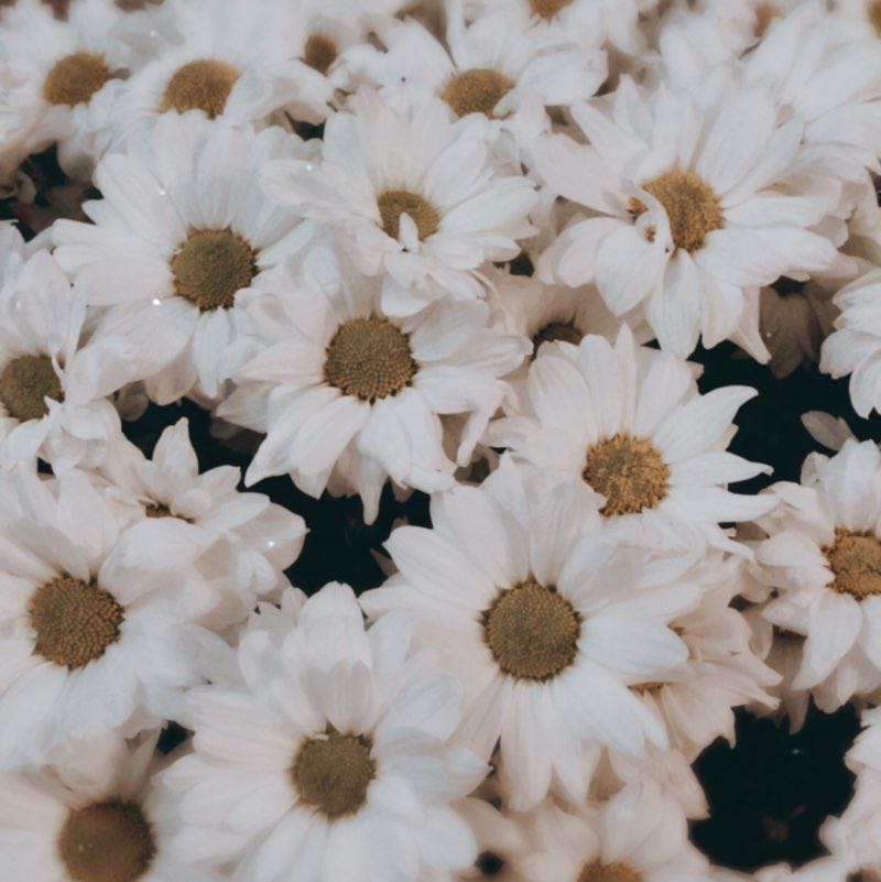 Ксения Ларина