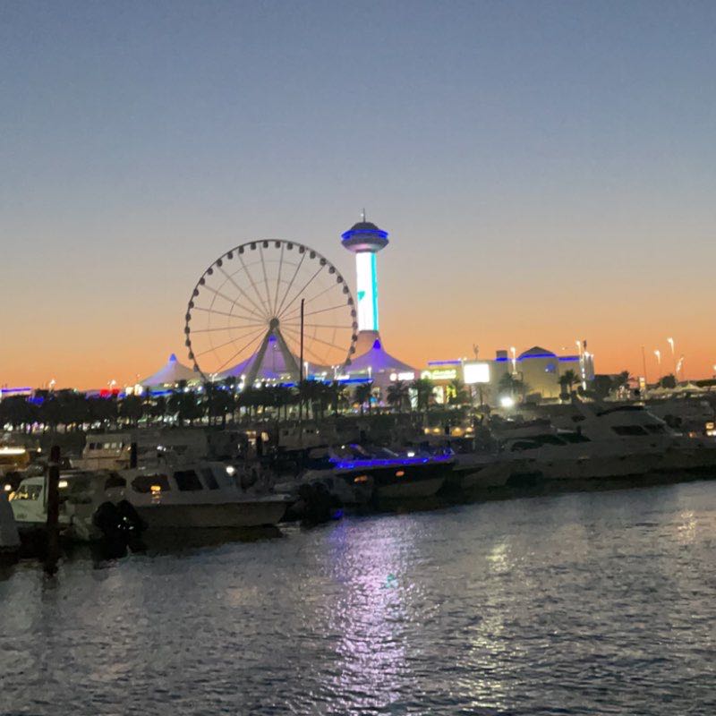 🌸 ًlavender 🌸