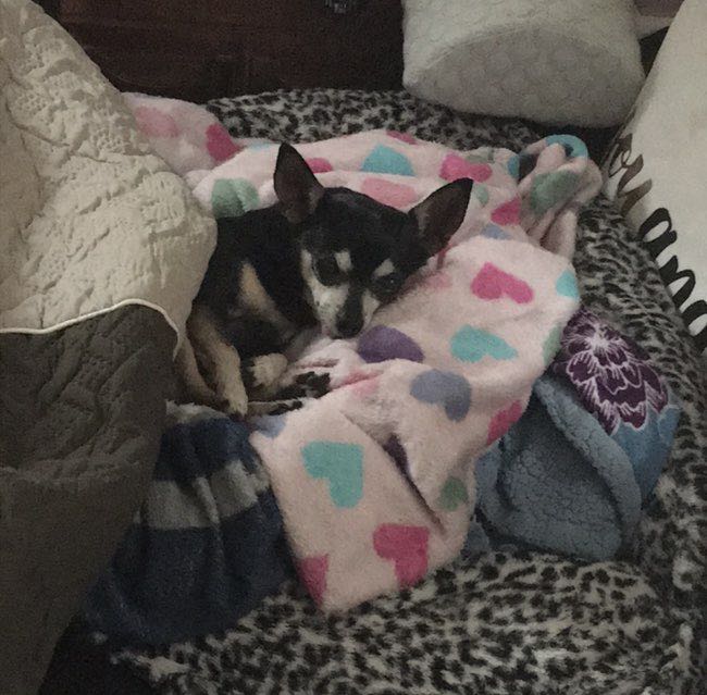 Lexie🏃‍♀️ profile