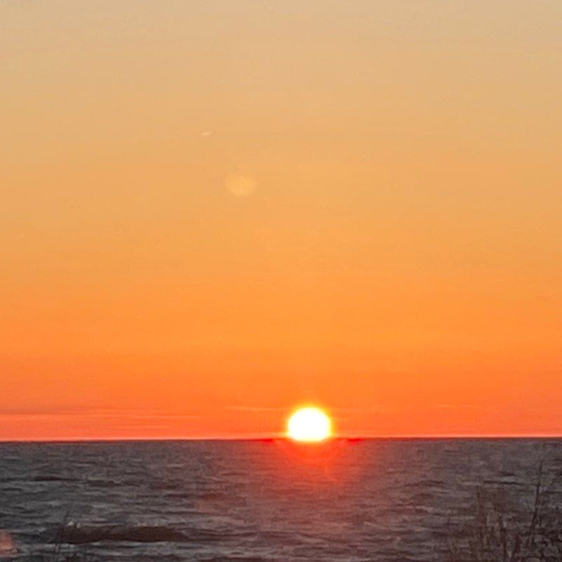 Law 🇺🇸🏴‍☠️