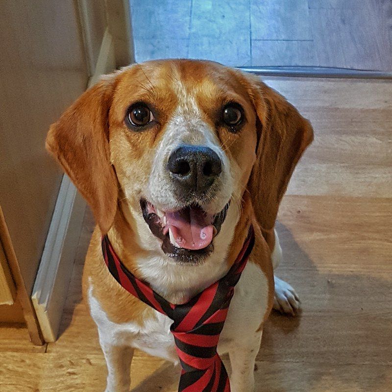 Rosy B. Eagle profile