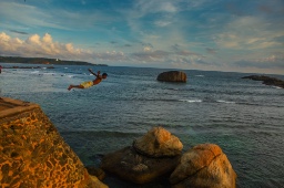  Walking Warriors logo