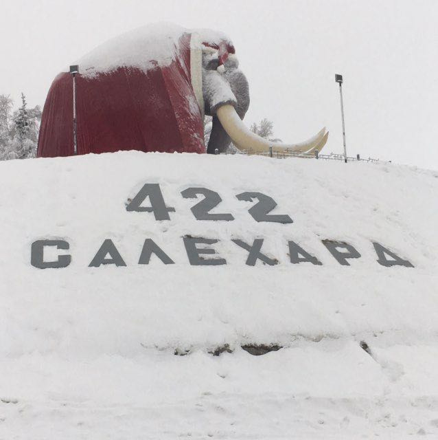 PacerЧувак_1964