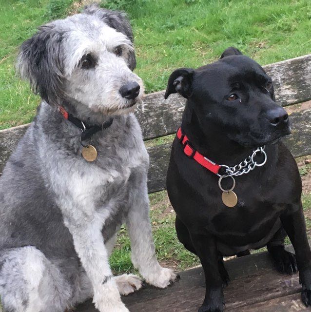 🇬🇧Susan🇬🇧