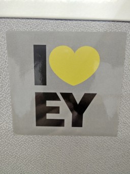 🦋EY LCC PACERS🦋 logo