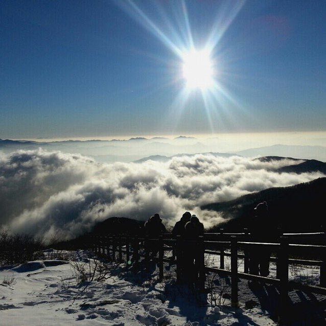 나무그늘 profile