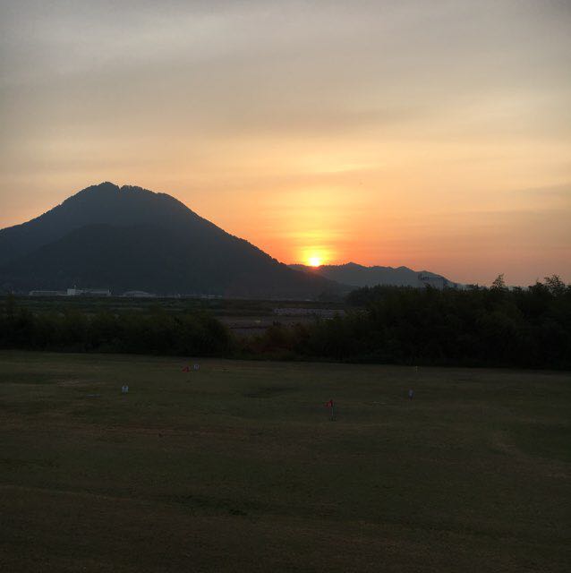 tisa profile