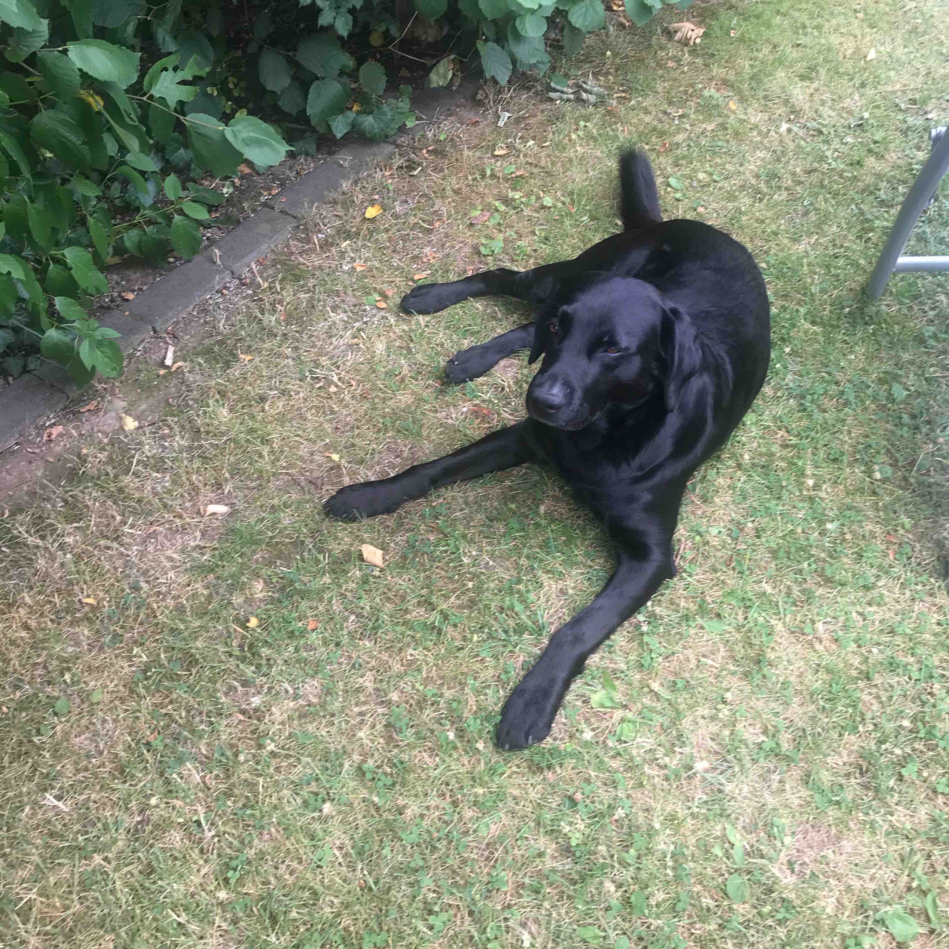 Halt dich fit  lauf einfach mit